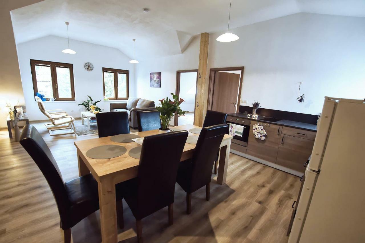 "U Capa" Krasny Apartman V Sedleci Sedlec  Ngoại thất bức ảnh