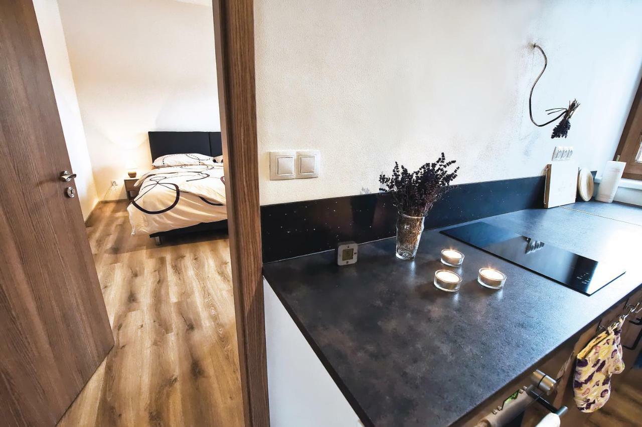 "U Capa" Krasny Apartman V Sedleci Sedlec  Ngoại thất bức ảnh